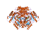 2okj: The X-ray crystal structure of the 67kDa isoform of Glutamic Acid Decarboxylase (GAD67)