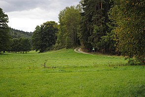 Wanderweg durchs Tetterweinbachtal