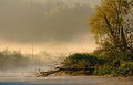 Nadwieprzański Park Krajobrazowy we mgle