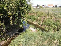 Mündung des Weinbachs in die Marlach