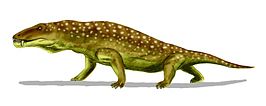 Anteosaurus