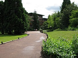 Disney Sequoia Lodge