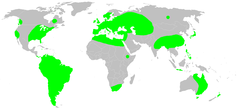 Mapa występowania