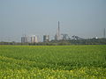 Blick von Duisburg-Mündelheim (im Vordergrund die Rheinauen)