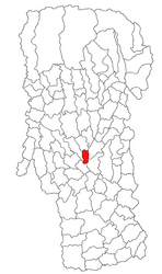 Location in Argeș County