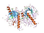 1x11: X11 PTB DOMAIN