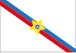 Vlag van Presidente Figueiredo