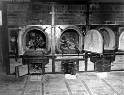 Οστά αντιναζιστών Γερμανών βρίσκονται στα κρεματόρια στο γερμανικό στρατόπεδο συγκέντρωσης Μπούχενβαλντ.