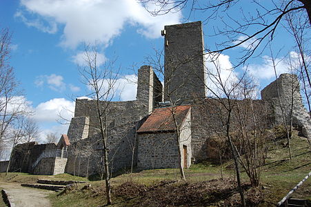 Burgruine Haus Murach (Obermurach)