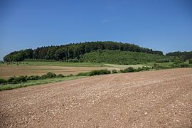 Bild 3: Ansicht des nur sanft geneigten Plankensteines aus östlicher Richtung (Juni 2015)