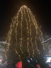 Lightly decorated christmas tree