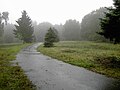 Auf diesem Bild ist der Rand des inneren Plateaus zu erkennen (in Richtung südlicher Eingang fotografiert). Besonders gut zu erkennen links des Nadelbaumes im linken Drittel des Bildes.