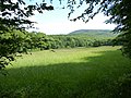 Blick in Gegenrichtung über die Heimliche Wiese unterhalb des Hainkopfs zum Staufen