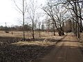 Plaats van een prehistorische nederzetting in de omgeving van Kõrveküla