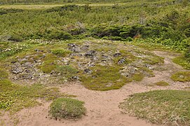 The prehistoric burial mound at L'Anse Amour[6]