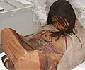 Image 31"The Maiden", one of the discovered Llullaillaco mummies, a preserved Inca human sacrifice from around the year 1500. (from Indigenous peoples of the Americas)
