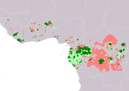 Az erdei elefánt elterjedési területe   egész éves   feltételezhetően egész éves   valószínűleg kihalt Összeállította: IUCN SSC African Elephant Specialist Group 2021