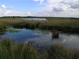 Nationaal Park De Groote Peel