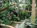 Inside the United States Botanic Garden