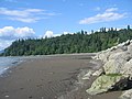 View of Point Grey from Wreck Beach.