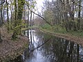 Wrześnica flowing through the park