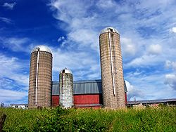 An Allegany Township farm