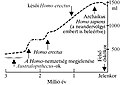 Bélyegkép a 2007. március 5., 14:23-kori változatról