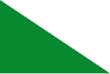 Vlag van Arcabuco