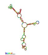 P20: Secondary structure taken from the Rfam database. Family RF01673