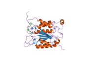 2h48: Crystal structure of human caspase-1 (Cys362->Ala, Cys364->Ala, Cys397->Ala) in complex with 3-[2-(2-benzyloxycarbonylamino-3-methyl-butyrylamino)-propionylamino]-4-oxo-pentanoic acid (z-VAD-FMK)