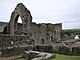 St Dogmaels Abbey Remains