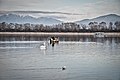 Μικρογραφία για την έκδοση της 22:02, 3 Μαΐου 2019