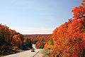 Image 6Algonquin Provincial Park (from Eastern Ontario)