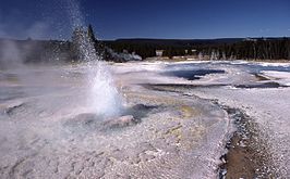 Bead Geyser