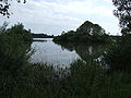 Blick vom Uferrundweg auf den See mit Insel