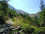 Uitzicht op Col de Balme (grensovergang tussen Frankrijk en Zwitserland). Foto is genomen op pad tussen Les Herbagères en Trient (Zwitserland).