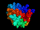 Kalottenmodell des EPO-Moleküls