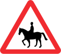 Equestrian crossing