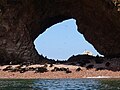 Ballestas Insel