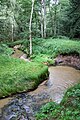 Der Röthenbach bei Ungelstetten