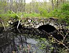 Double-arch Sandstone Bridge