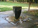 Vogelbrunnen mit Blume und Schildkröte