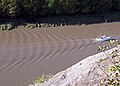 Ungestörte Bugwellen und Kielwasser.