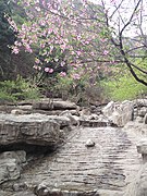 A stream at the foot of Mount Langya.