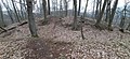 Blick vom Mittelteil der Burg über den verflachten Halsgraben zum höherliegenden Plateau der Ostburg