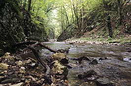 Nationaal park Semenic-Cheile Carașului