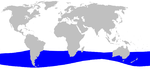 Strap-toothed whale range