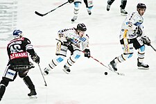 Photograph of ice hockey players during a match. Markus Nordlund is on the left in a black Jersey facing away from the camera, while Lukáš Kašpar and Mika Viinanen are on the right in white jerseys