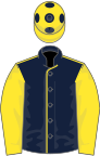 Dark blue, yellow seams and sleeves, yellow cap, blue spots