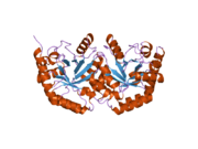 2jgy: THE CRYSTAL STRUCTURE OF HUMAN OROTIDINE-5'-DECARBOXYLASE DOMAIN OF HUMAN URIDINE MONOPHOSPHATE SYNTHETASE (UMPS)